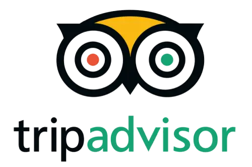 TripAdvisor Reviews