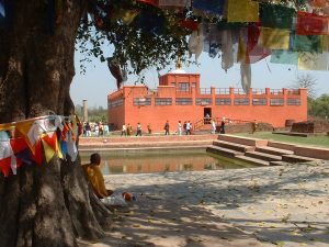 Kathmandu Chitwan Lumbini Pokhara Tour