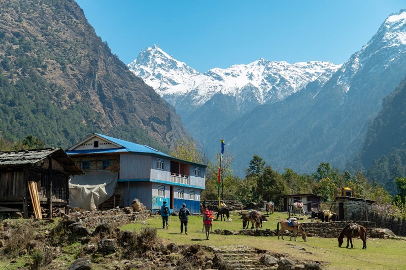 Kanchenjunga Circuit Trek